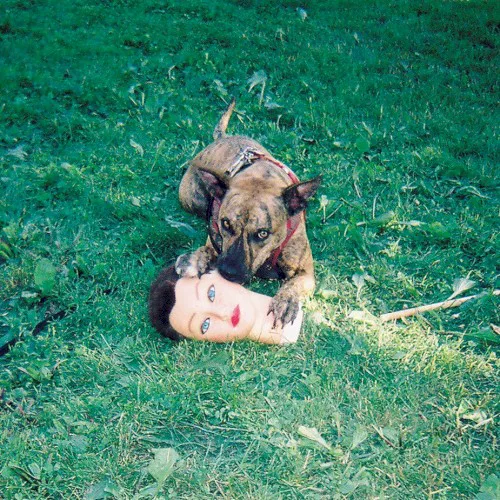 Cover of Joyce Manor – Cody