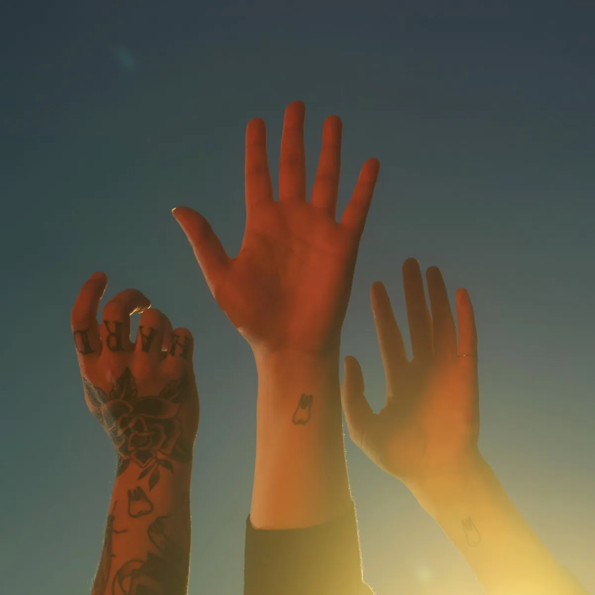 Cover of boygenius – the record