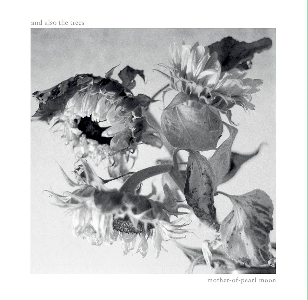 Cover of And Also the Trees – Mother-of-Pearl Moon