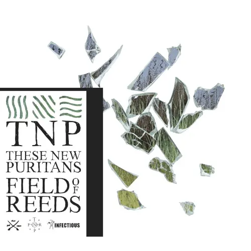 Cover of These New Puritans – Field of Reeds