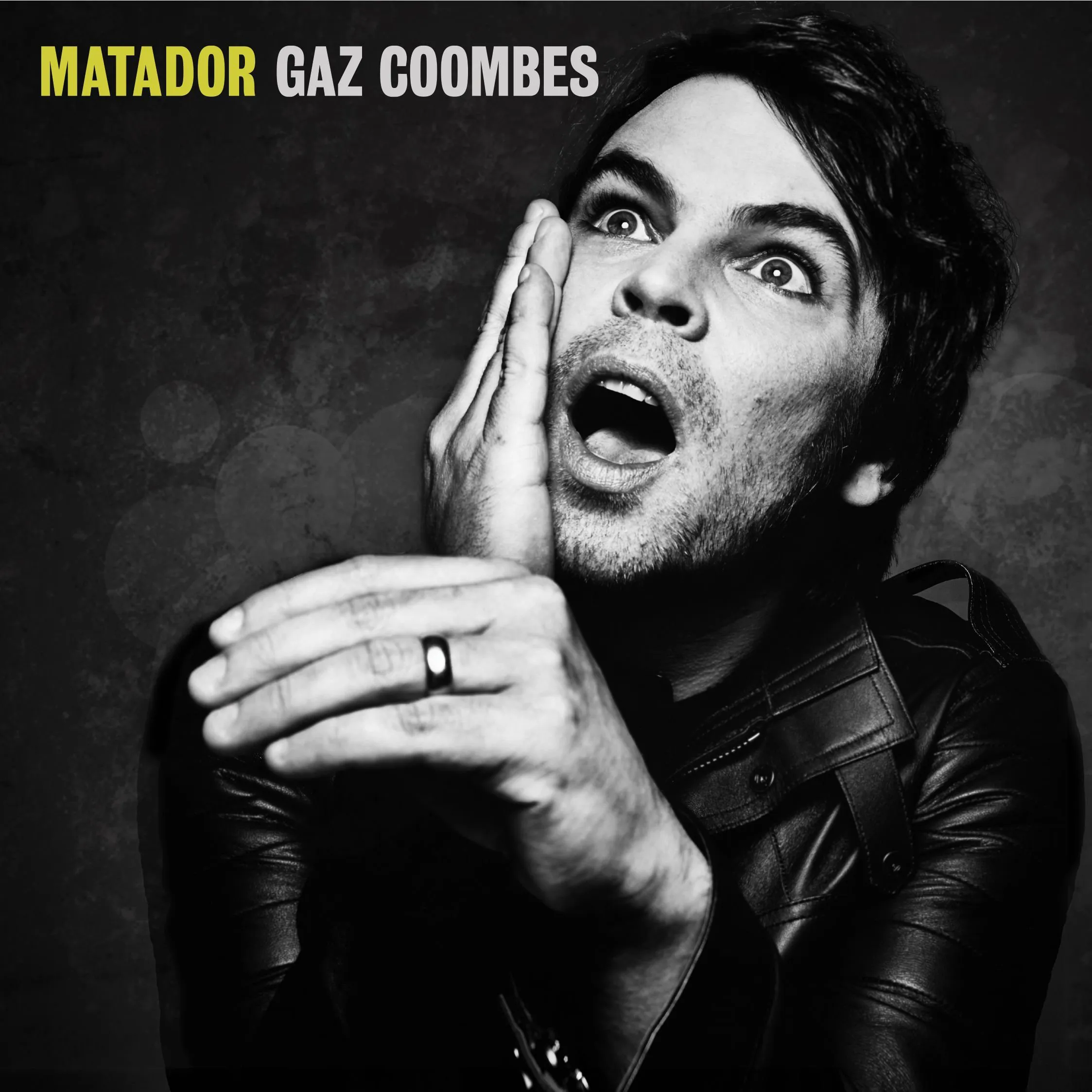 Cover of Gaz Coombes – Matador