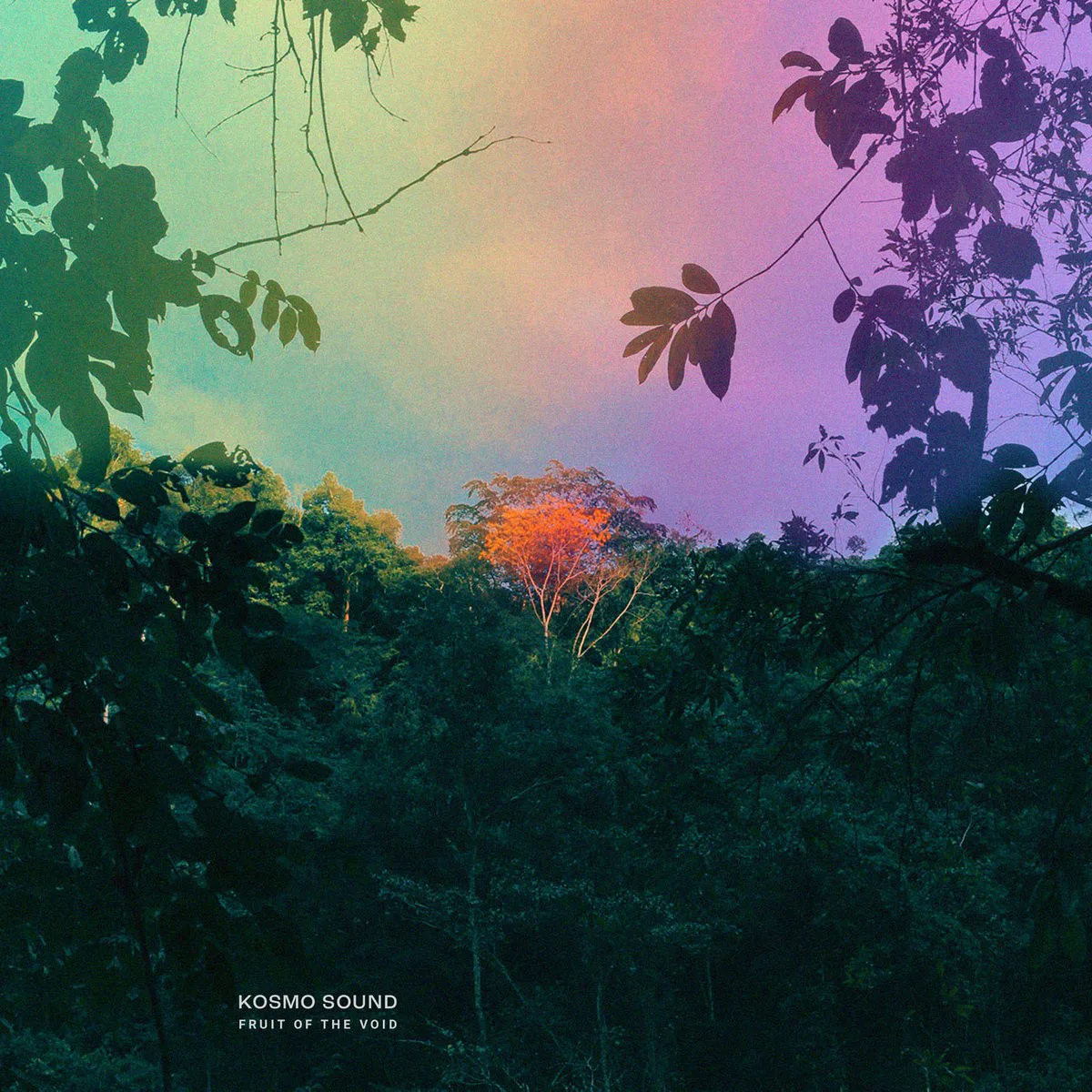 Obal alba Kosmo Sound – Fruit Of The Void