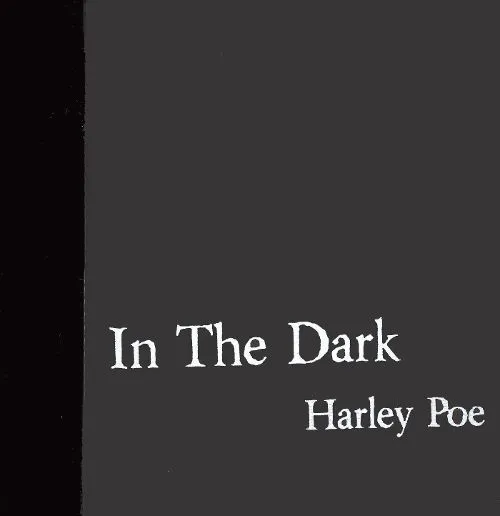Cover of In the Dark; Or B-Movie Trash!