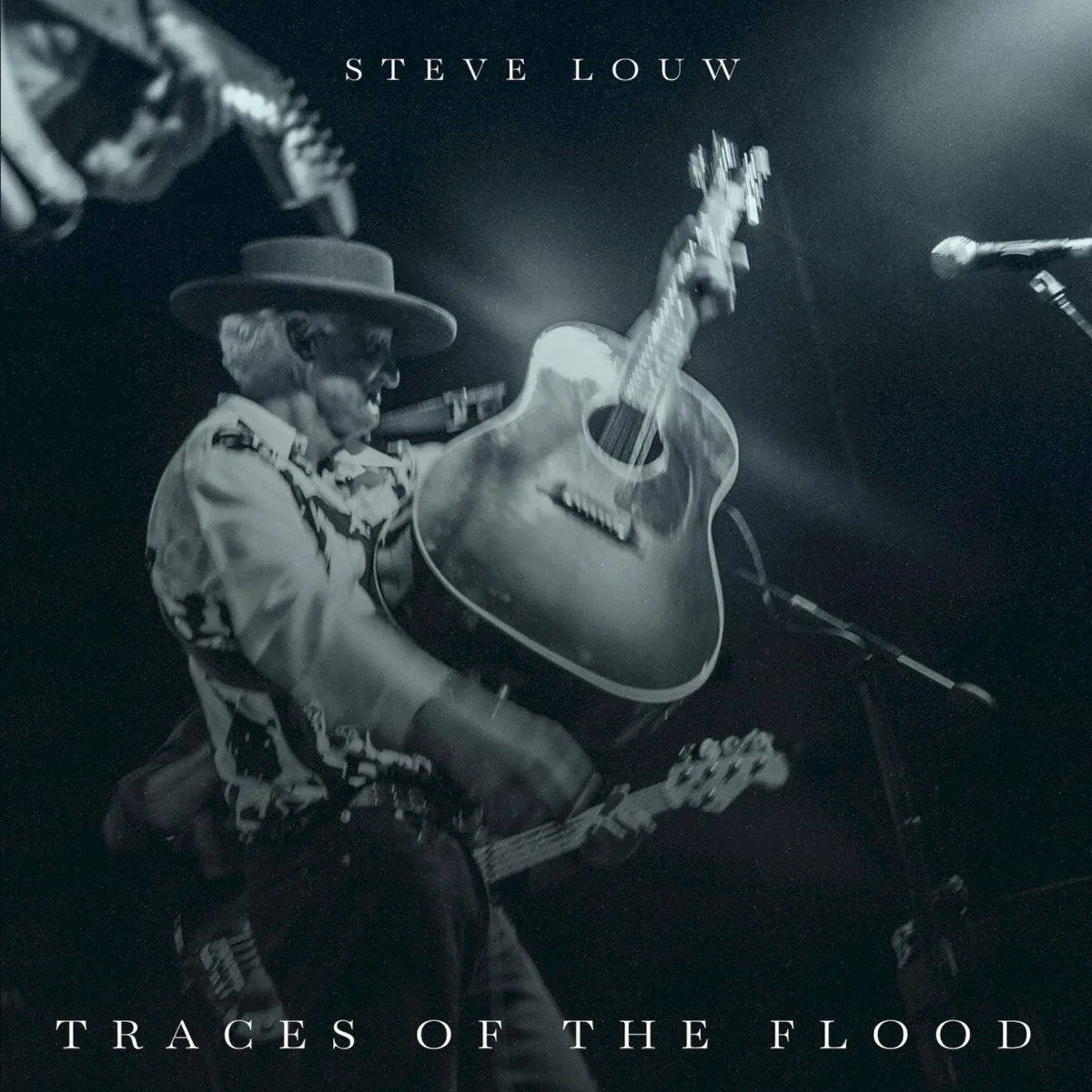 Obal alba Steve Louw – Traces of the Flood