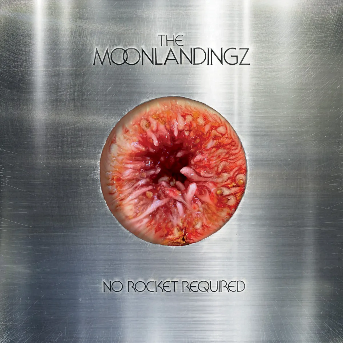 Obal alba The Moonlandingz – No Rocket Required