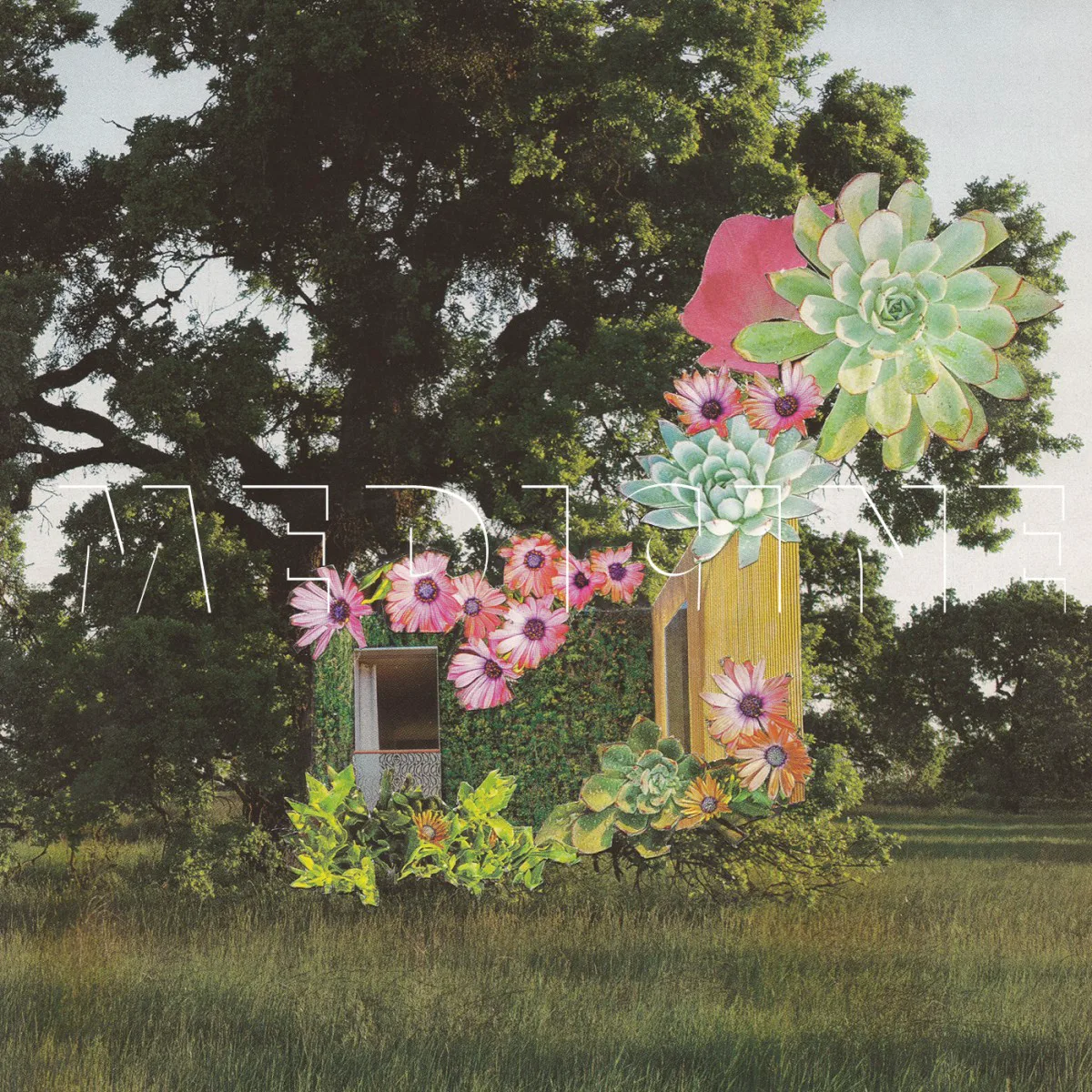 Cover of Medicine – Home Everywhere