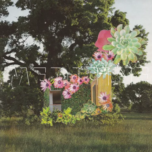 Cover of Medicine – Home Everywhere