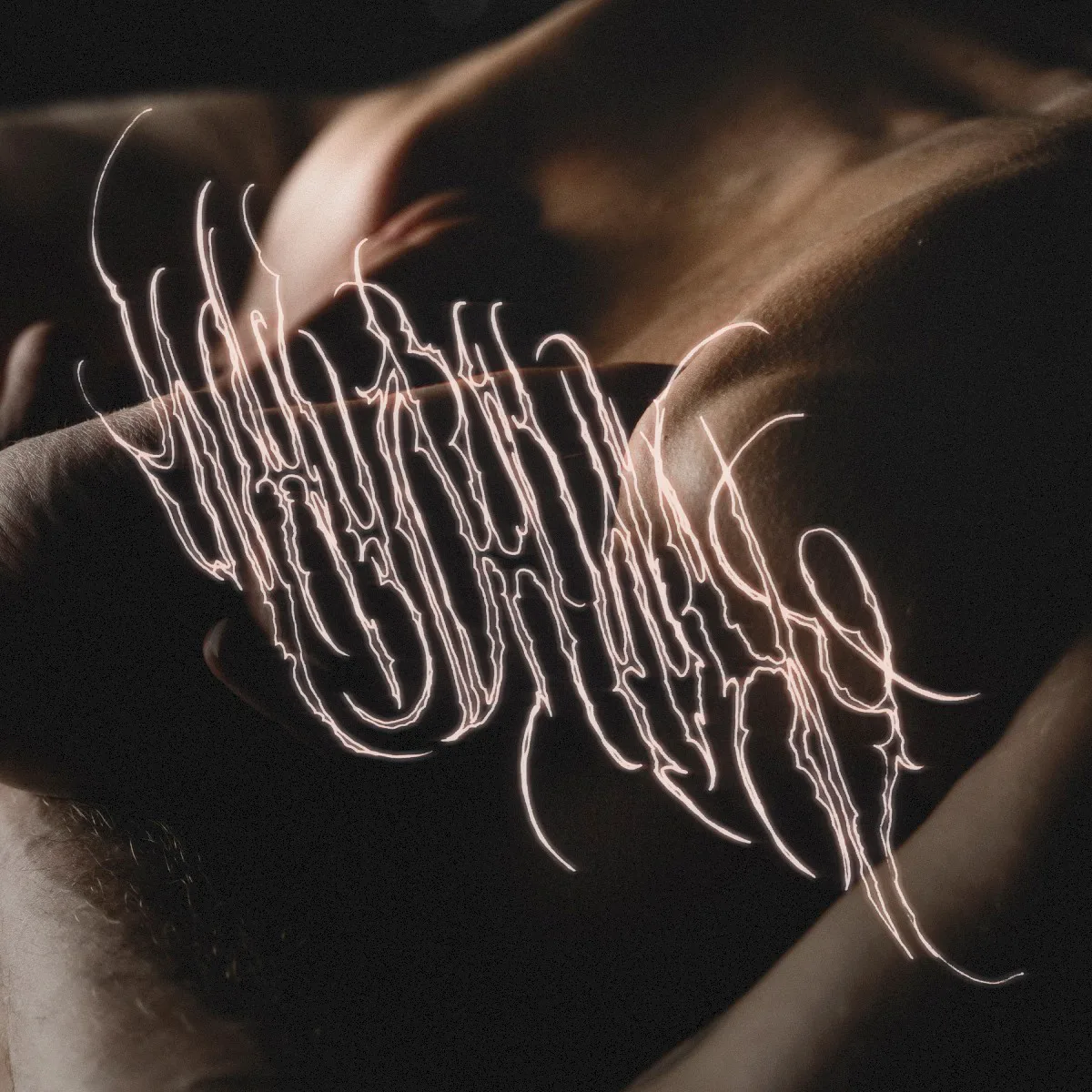 Obal alba whyohwhy – Bruises