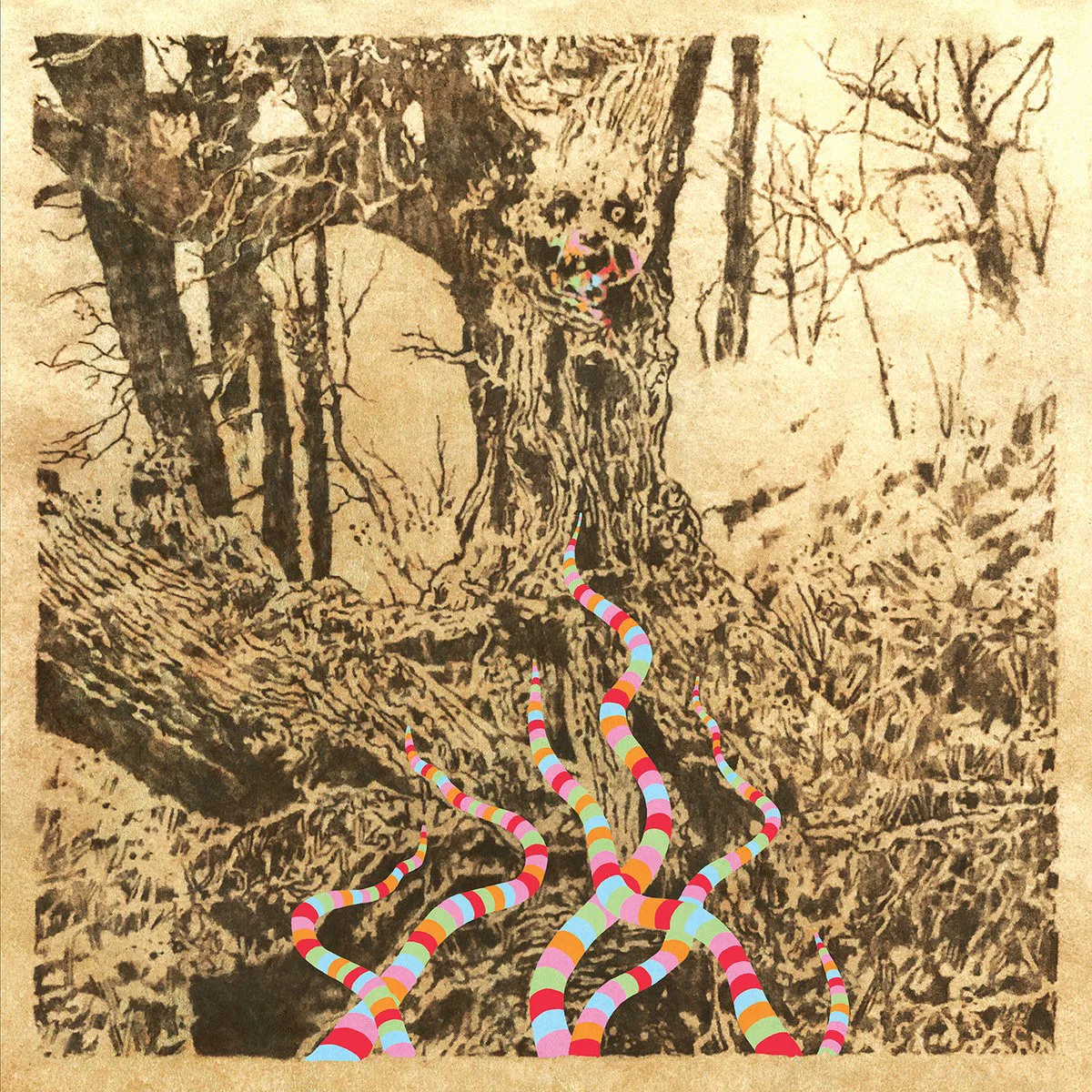 Cover of Regal Worm – Worm!