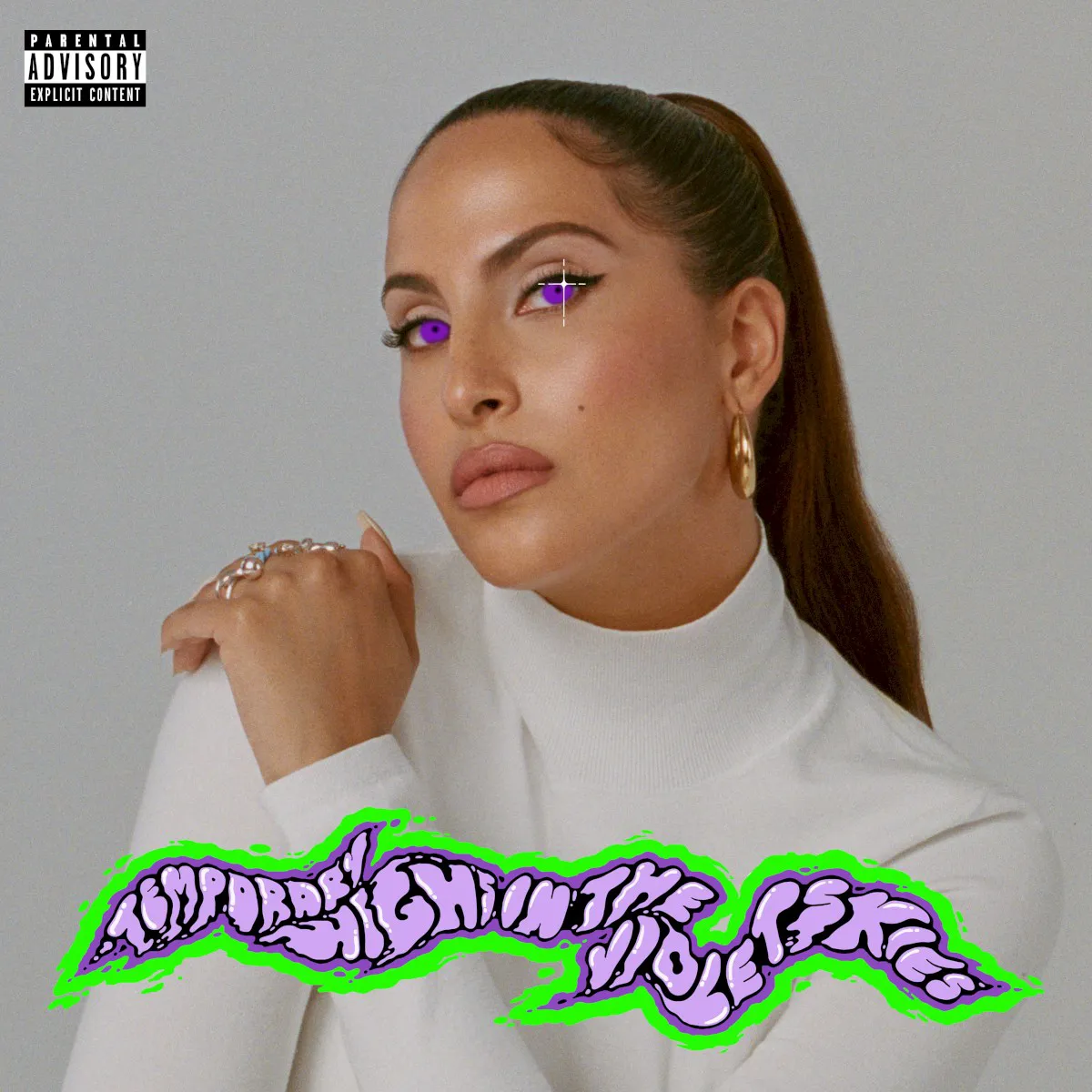 Cover of Temporary Highs in the Violet Skies
