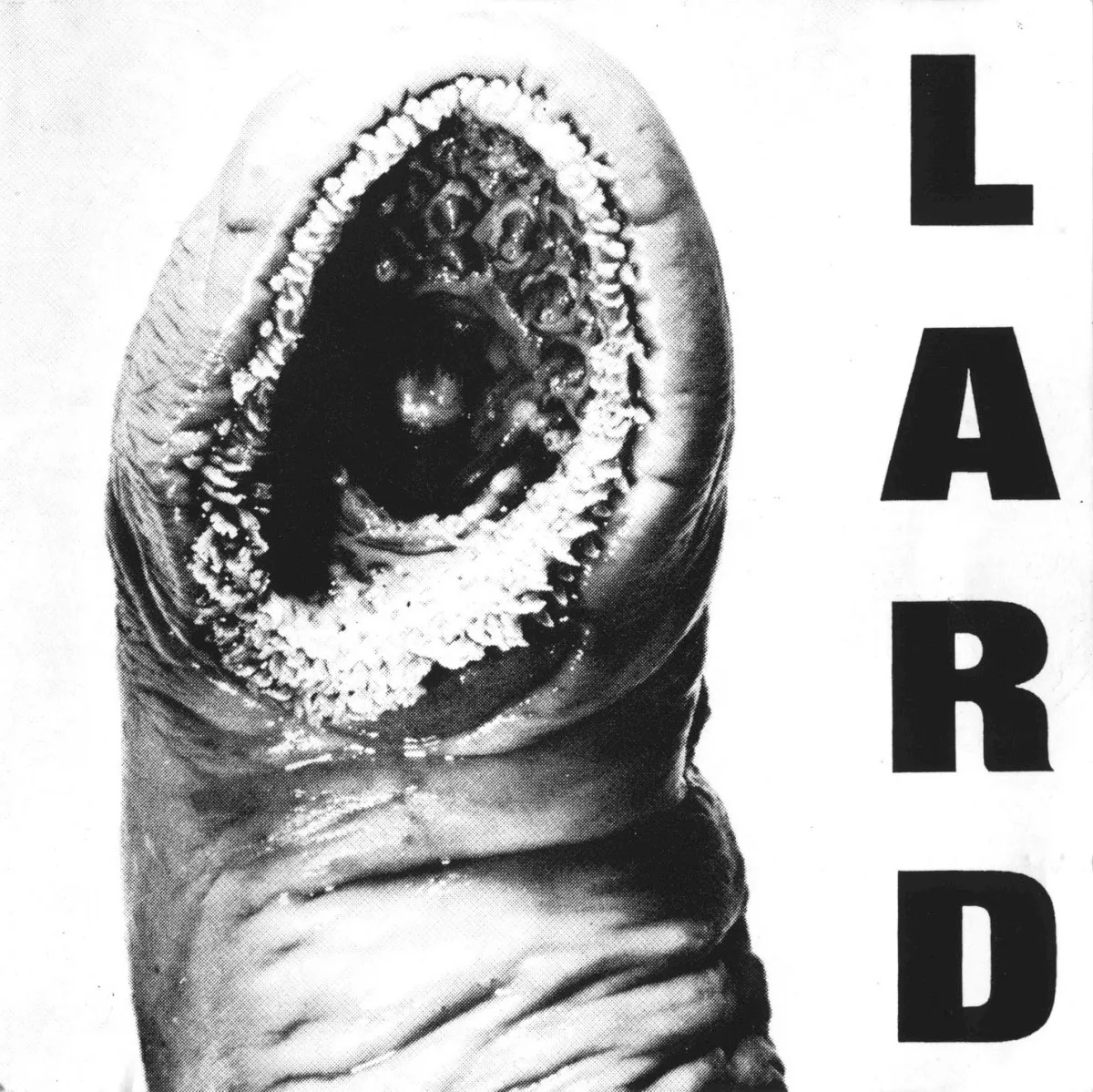 Obal alba The Power of Lard