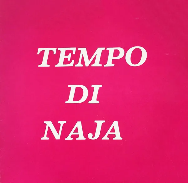 Cover of Remigio Ducros – Tempo Di Naja