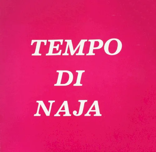 Remigio Ducros