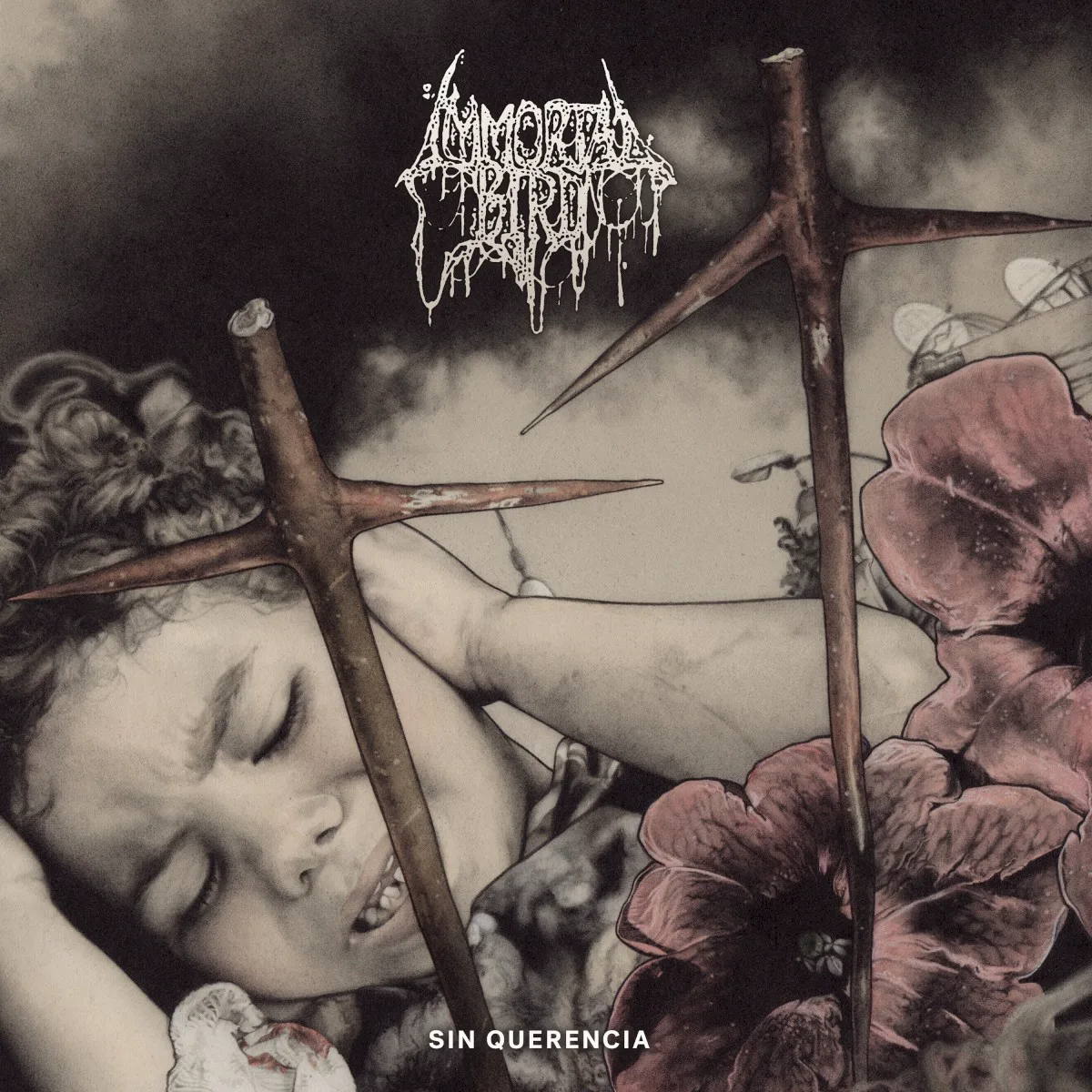 Cover of Immortal Bird – Sin Querencia