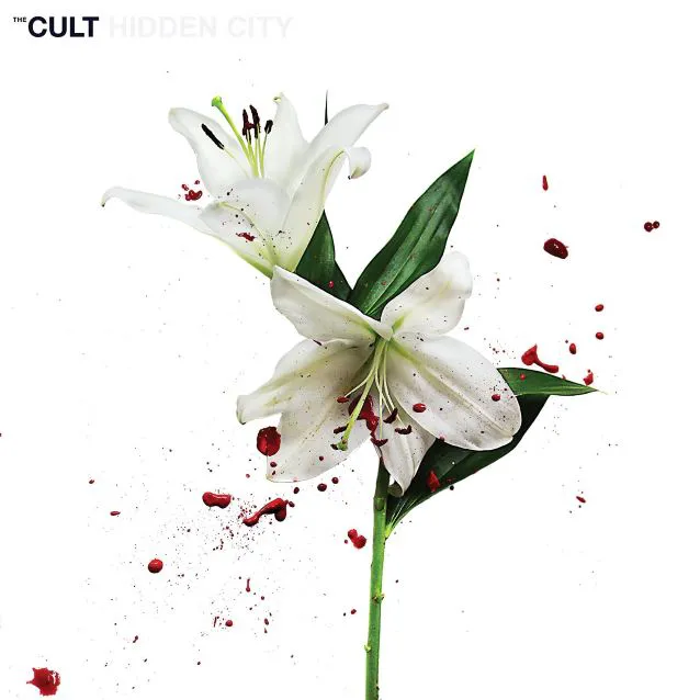 Cover of Hidden City