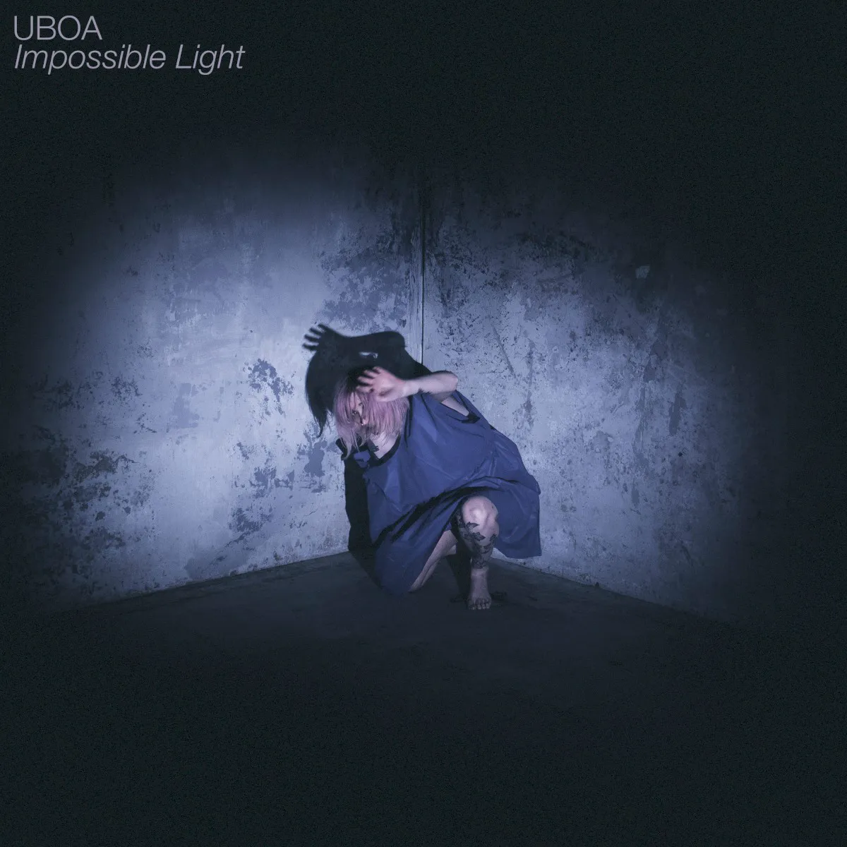 Cover of Impossible Light