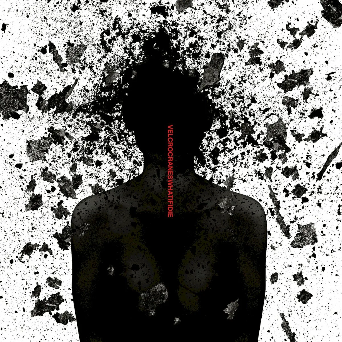 Obal albumu Velcrocranes – What If I Die