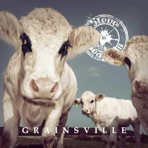 Cover of Steve ’n’ Seagulls – Grainsville