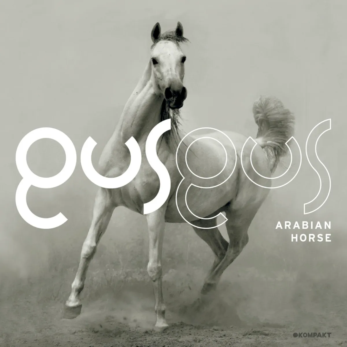 Cover of Arabian Horse
