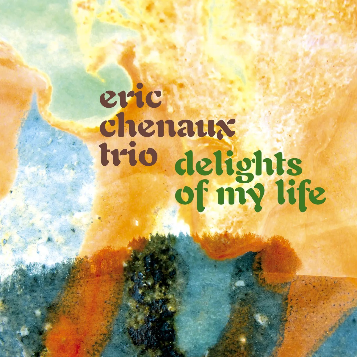 Obal alba Eric Chenaux – Delights of My Life