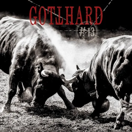 Cover of Gotthard – #13