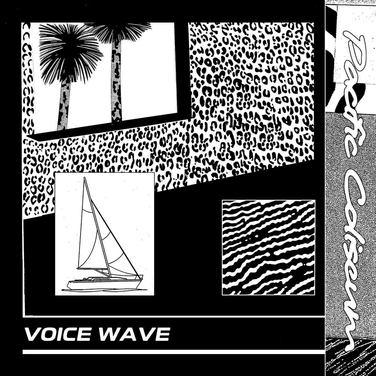 Obal albumu Pacific Coliseum – Voice Wave