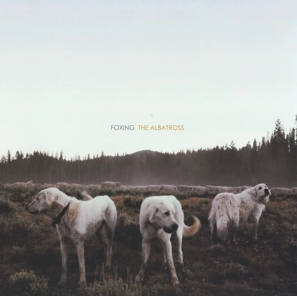 Obal albumu Foxing – The Albatross