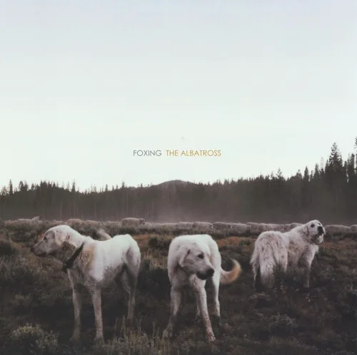 Cover of Foxing – The Albatross