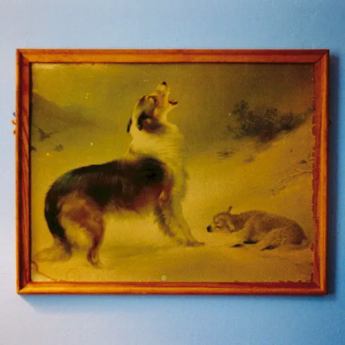Cover of Explosions in the Sky – The Rescue