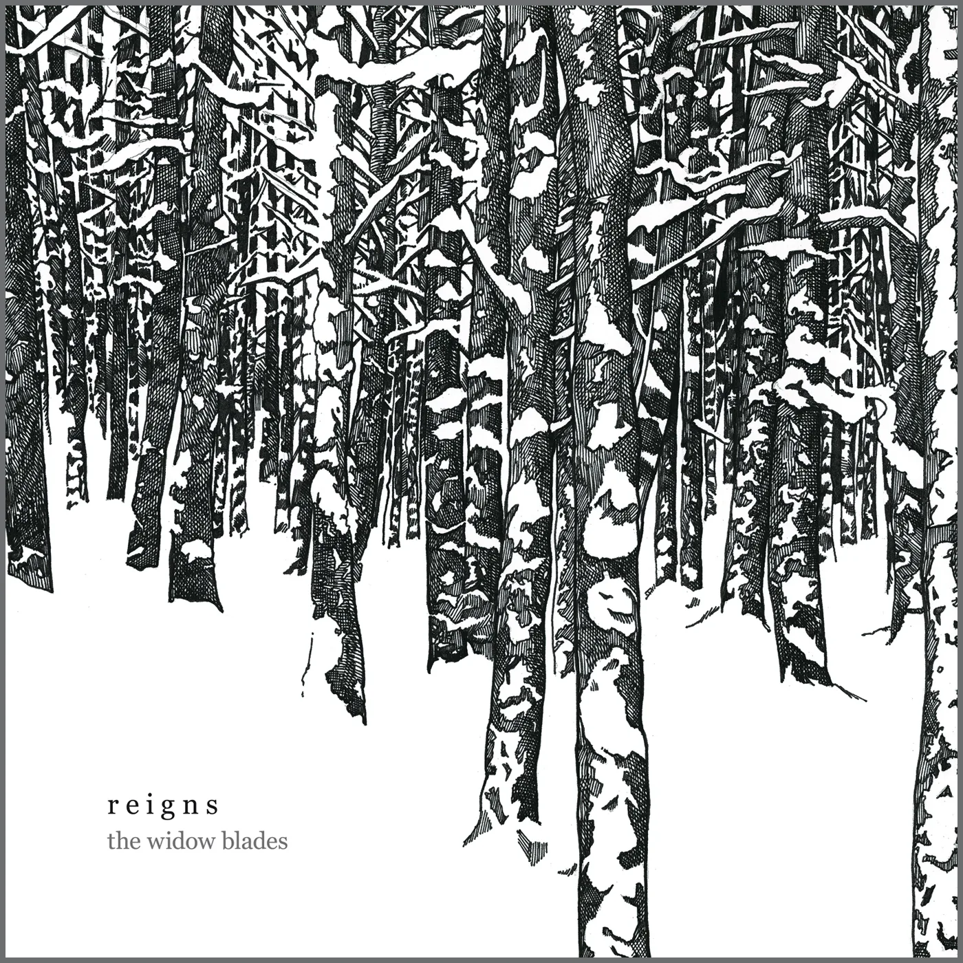 Cover of Reigns – The Widow Blades