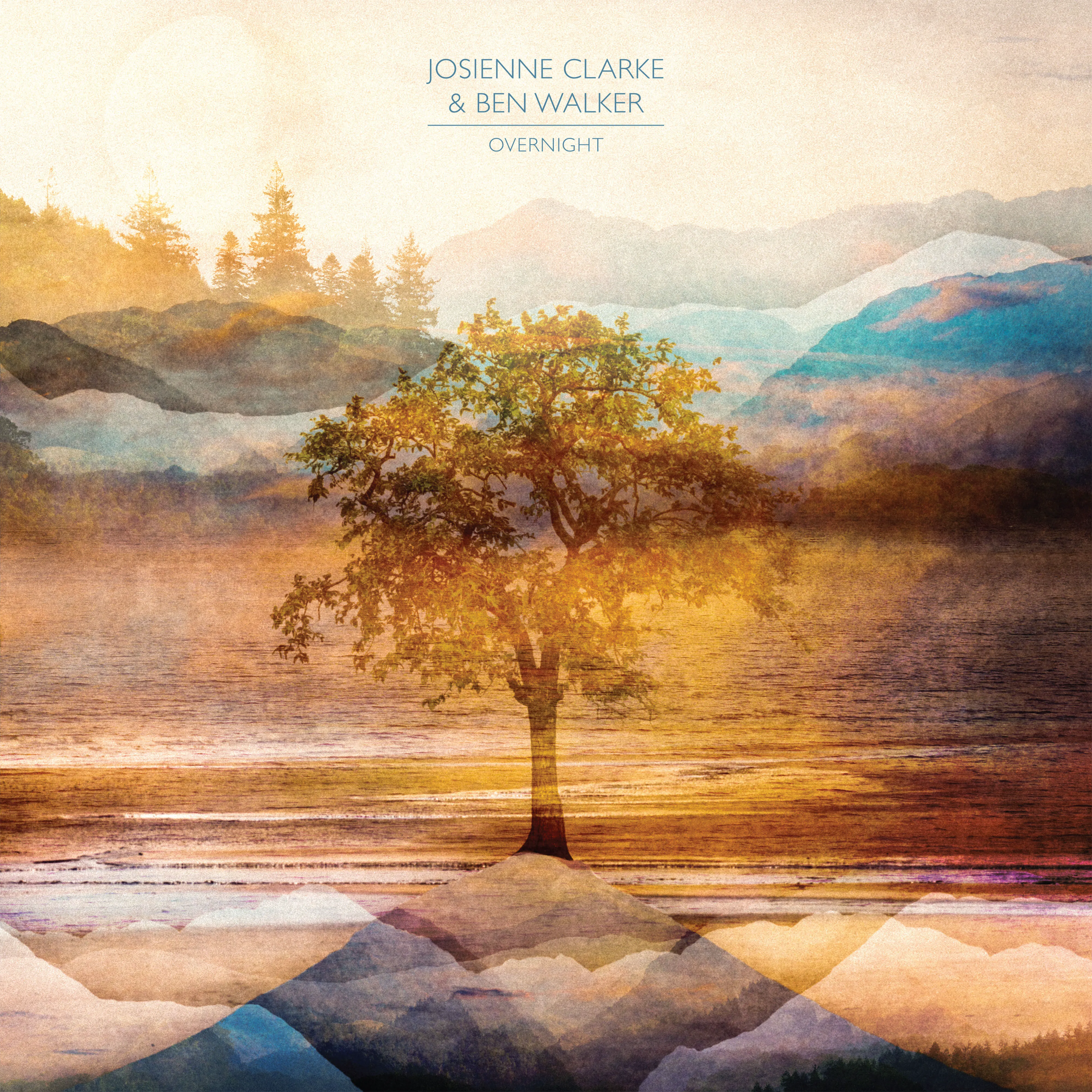 Cover of Overnight
