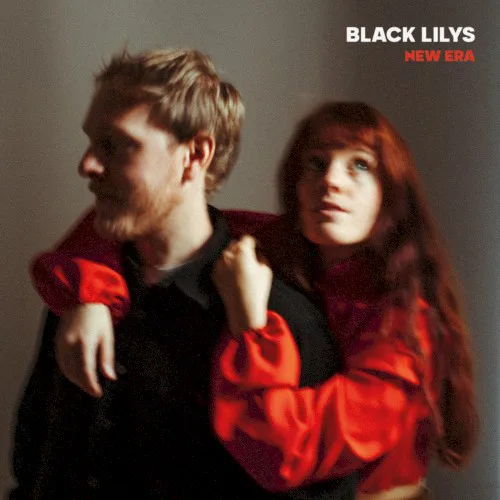 Black Lilys