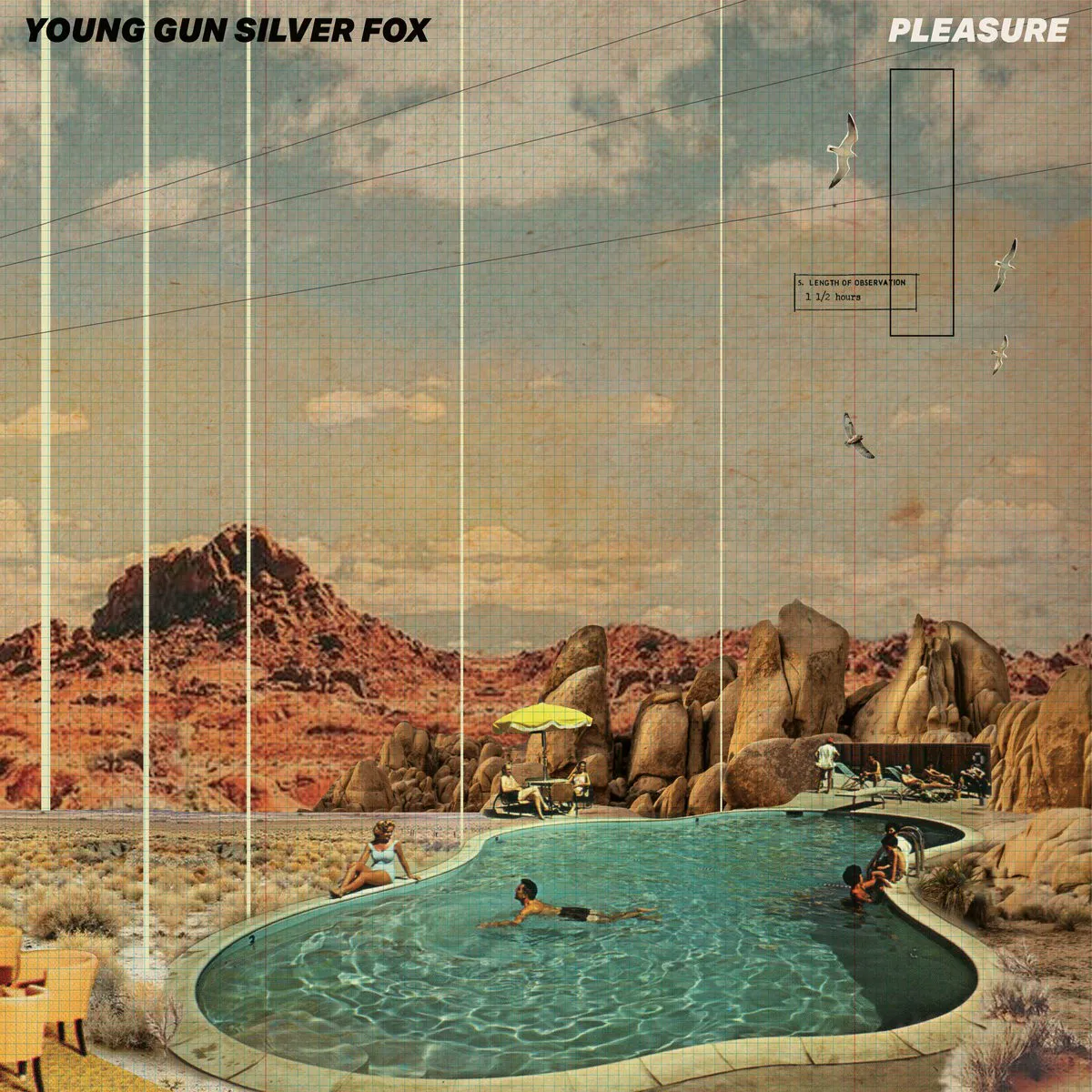 Cover of Pleasure