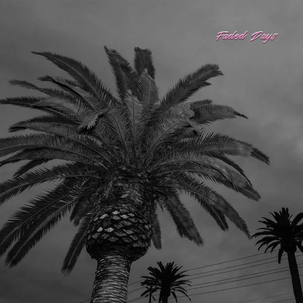 Obal alba Actual Wolf – Faded Days