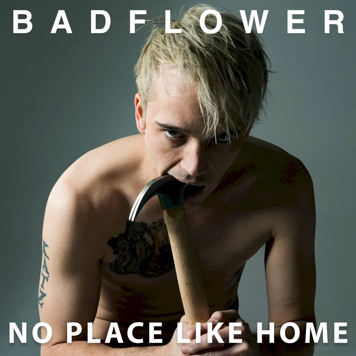 Cover of No Place Like Home