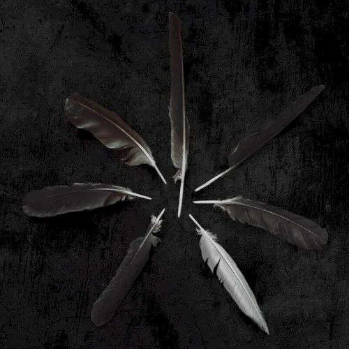 Cover of Caspian – Dust and Disquiet
