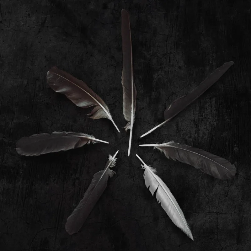 Obal albumu Caspian – Dust and Disquiet