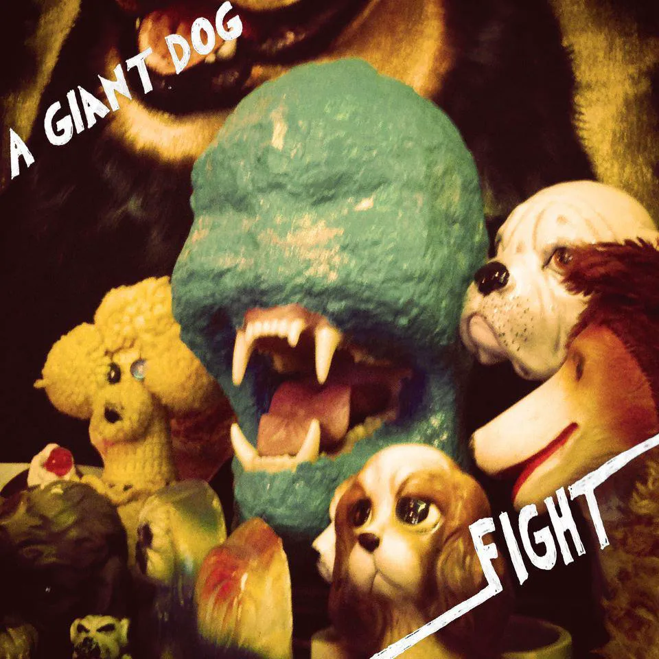 Cover of Fight