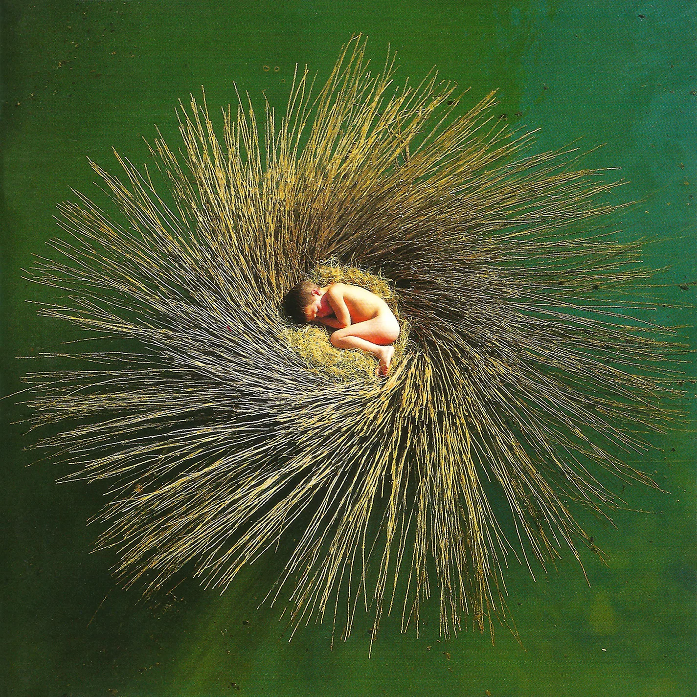 Obal alba Peter Gabriel – OVO