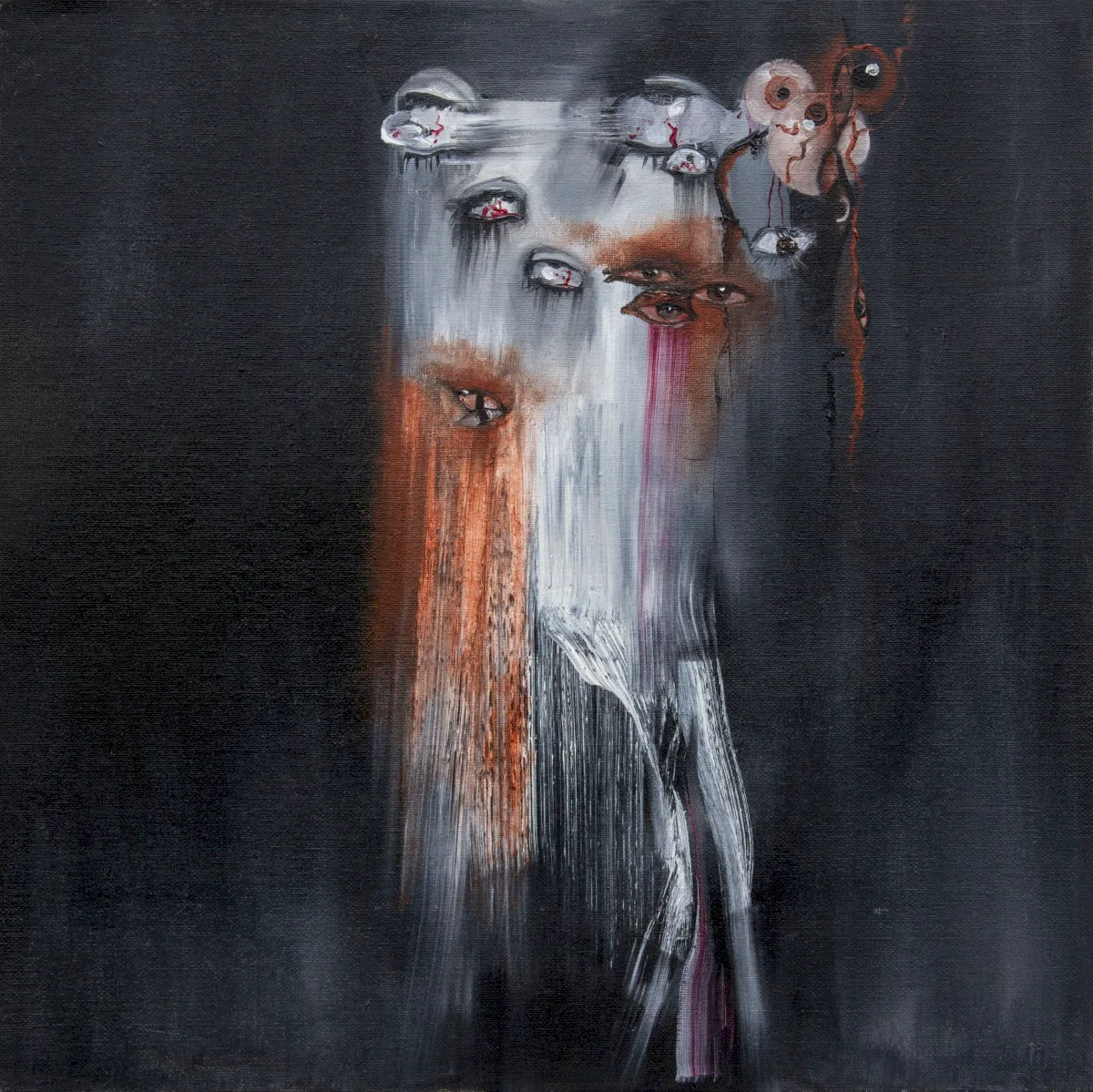 Cover of Insect Ark – The Vanishing