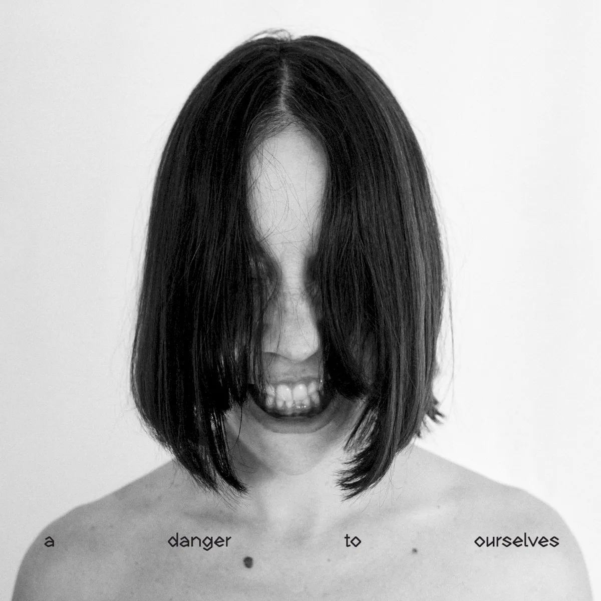 Obal alba A Danger to Ourselves