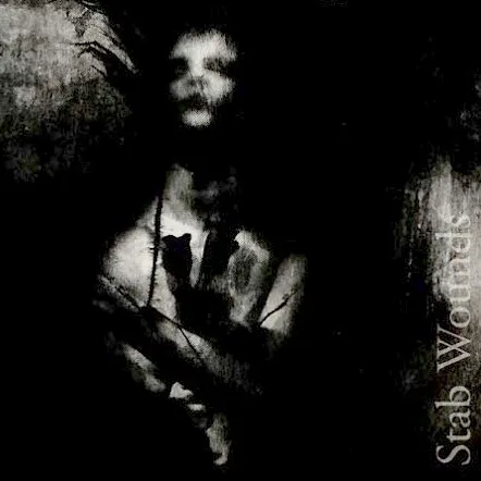 Cover of Dark Fortress – Stab Wounds