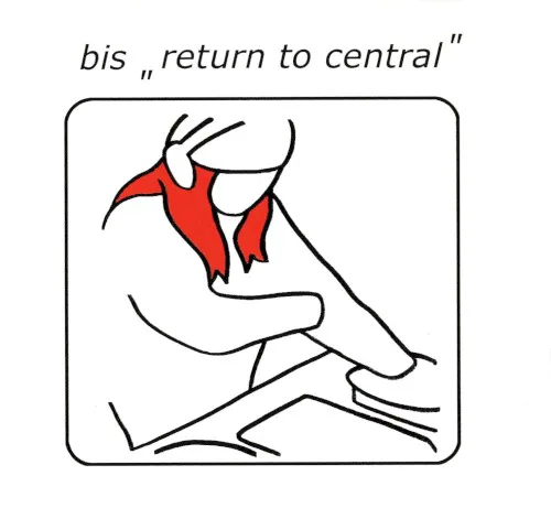 Cover of bis – Return to Central