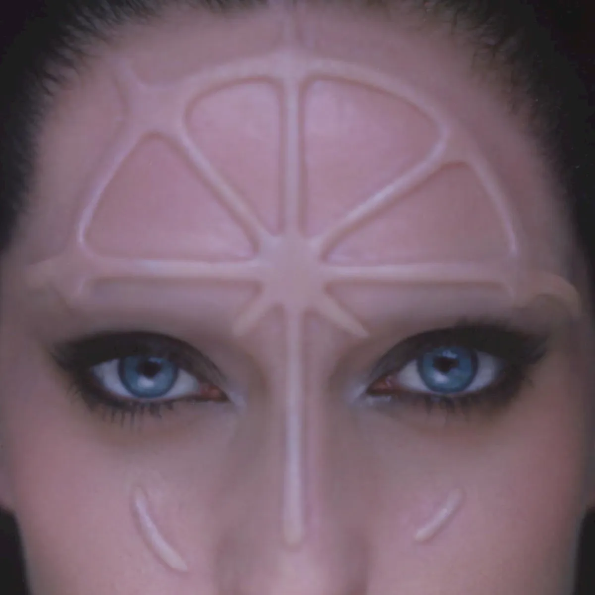 Cover of Rosa dei venti