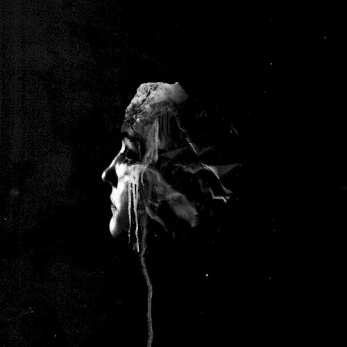 Cover of Fvnerals – The Light