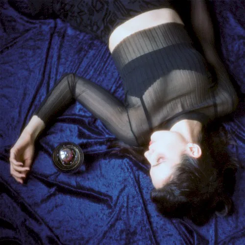 Cover of Echoberyl – Through the Chaos
