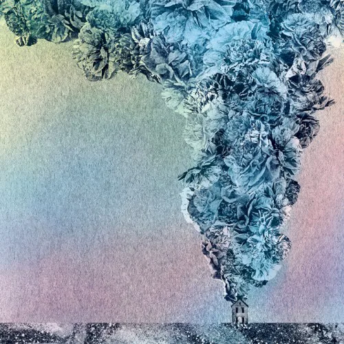 Cover of Daughn Gibson – Carnation