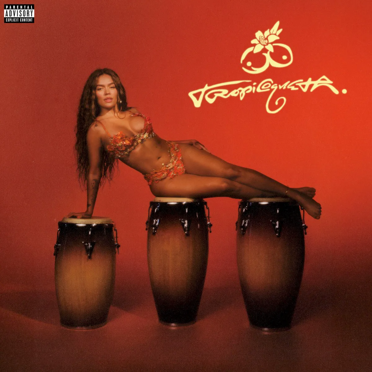 Cover of Tropicoqueta