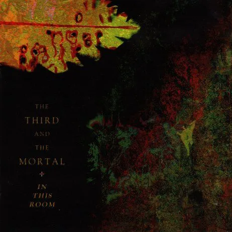 Cover of The 3rd and the Mortal – In This Room