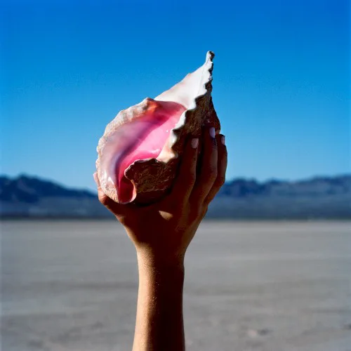 Cover of The Killers – Wonderful Wonderful